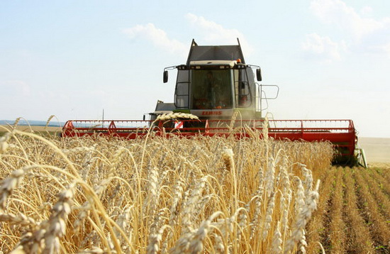 На Сумщине собран рекордный урожай зерновых культур